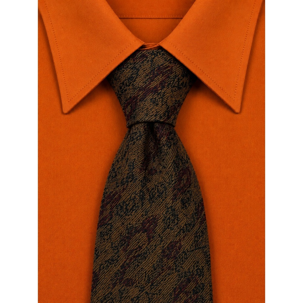 Gianfranco Ferre Mens Silk Tie‎ Brown Paisley Made in Italy Designer Necktie